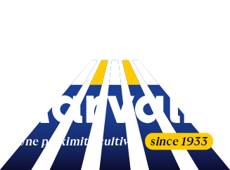 Logo Marvalin avec faisceau lumineux