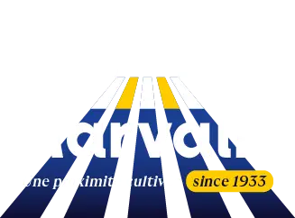 Logo Marvalin avec faisceau lumineux