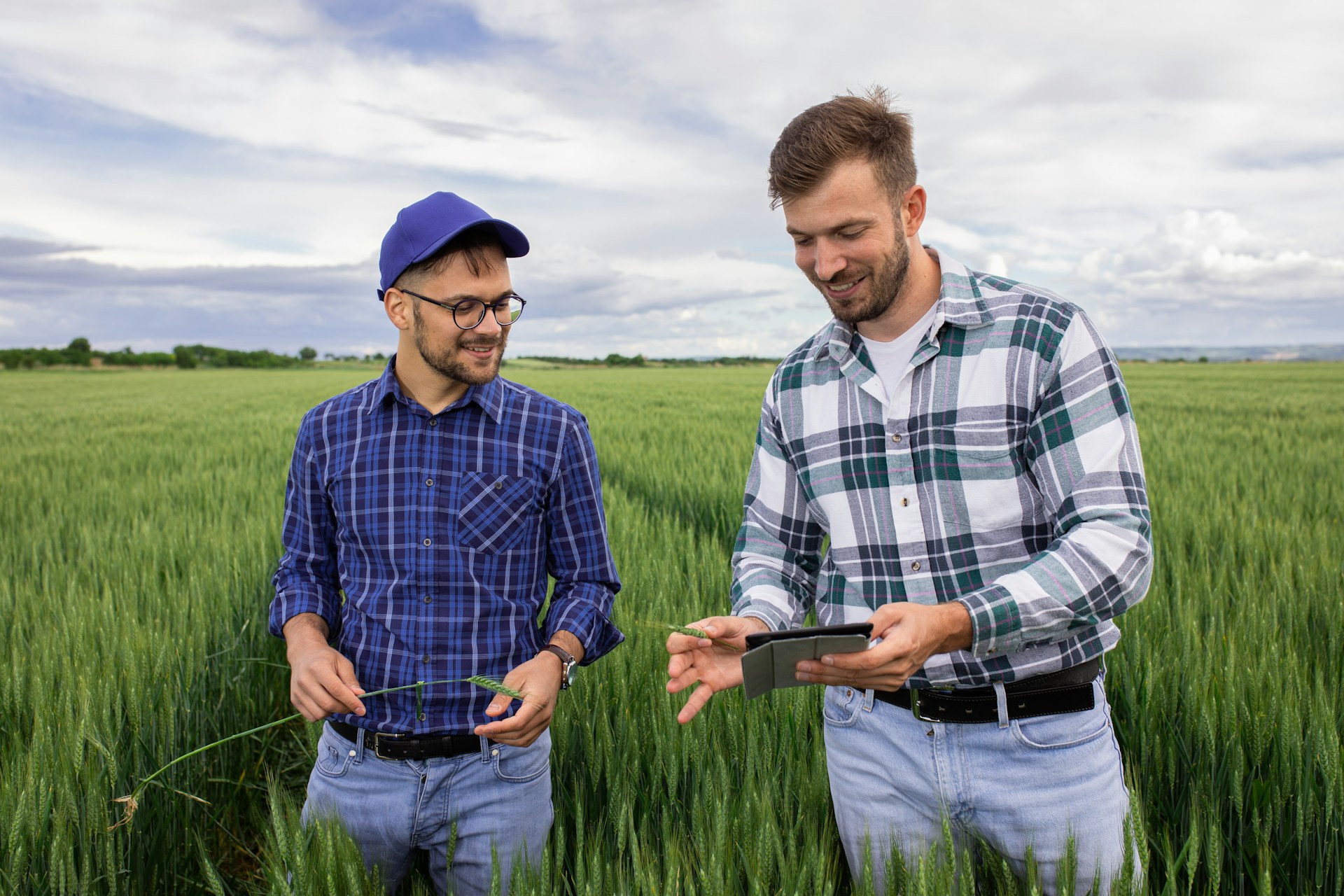 deux agriculteurs dans un champ de blé