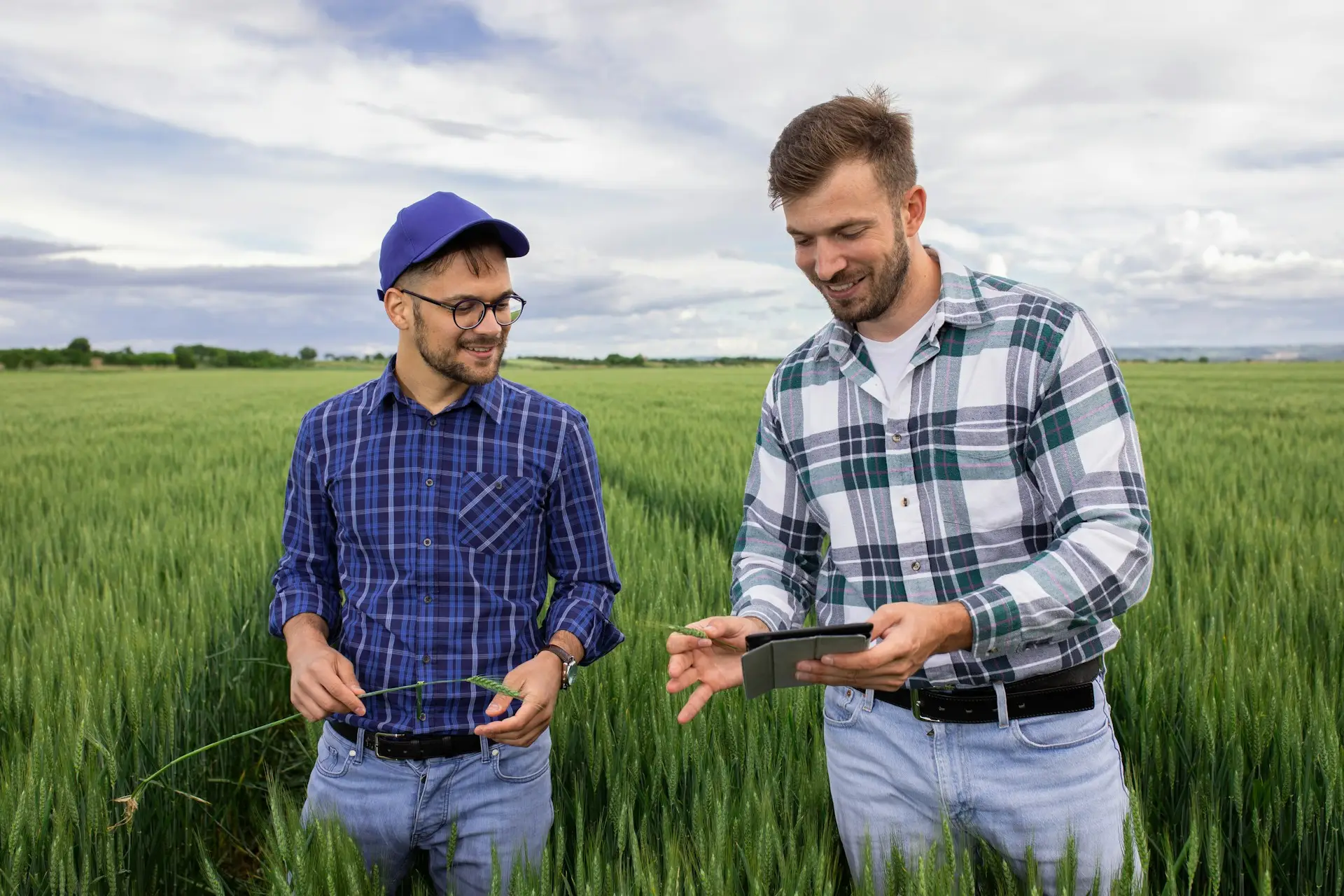 deux agriculteurs dans un champ de blé